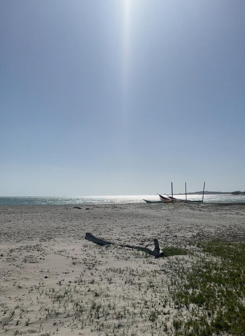 IMG-20260507-WA0170